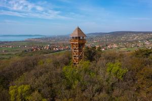 Watchtower on a wooded mountainside
