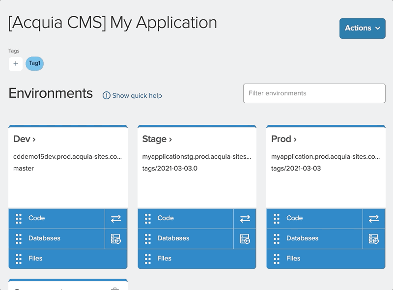 Create your Cloud IDE instance from the Acquia Cloud interface.