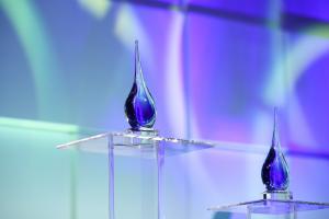 Winners of 2017 Acquia Engage Award