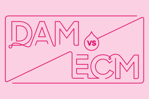 Blog header image: DAM vs. ECM, and Which is Right for You? article.