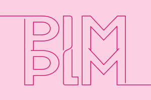 Blog header graphic: What’s the Difference Between PIM and PLM? article