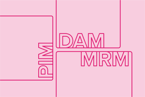 Blog header image: What's the Difference Between DAM, PIM, and MRM systems? article. 