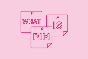 Blog header image: What is PIM? article. 