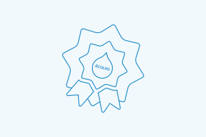 Blue outlined star-shaped badge or award symbol with decorative inner design