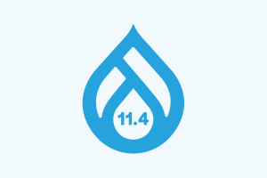 Drupal. 11.4 icon