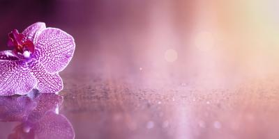 Beautiful Not Boring; Standardizing Your Sites the Right Way