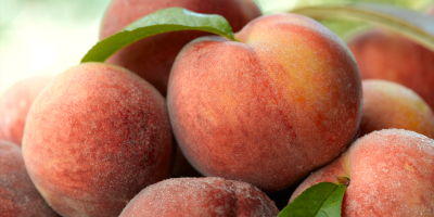 Pile of ripe peaches