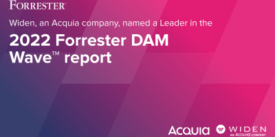 2022 Forrester DAM Wave Report