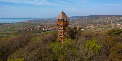 Watchtower on a wooded mountainside