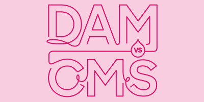 Blog header image: Understanding DAM vs. CMS article