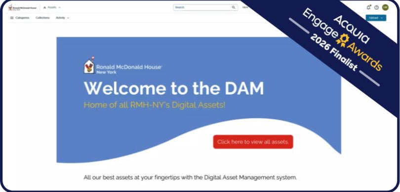 Screenshot of DAM welcome page with blue header and red button