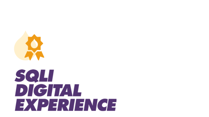Purple and orange gear logo with "SOLI DIGITAL EXPERIENCE" text below