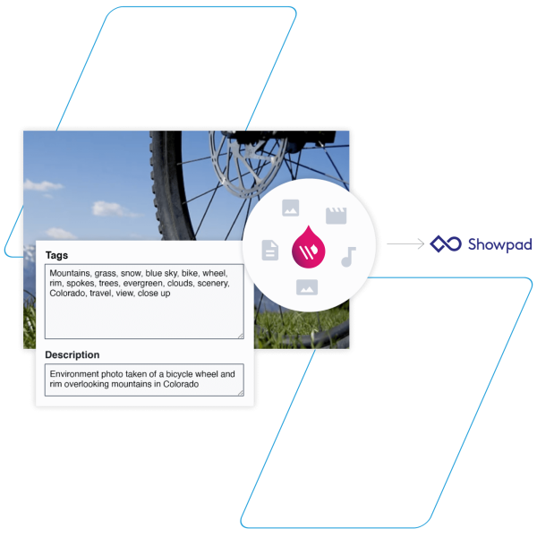 Acquia DAM and Showpad integration