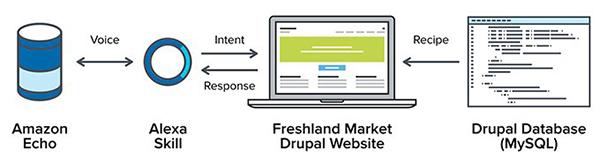 Visual of how Amazon Echo works with compatible website and database to deliver results for queries
