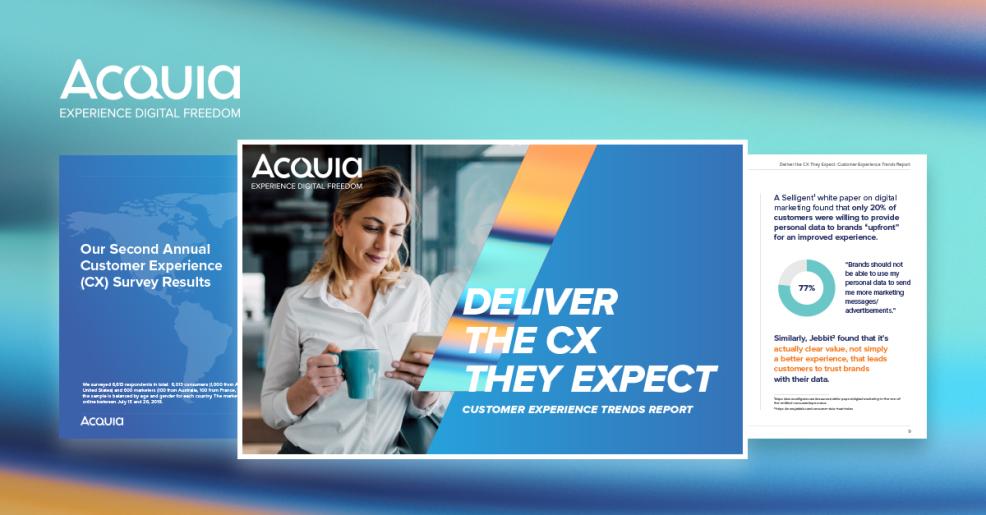 Acquia CX Report