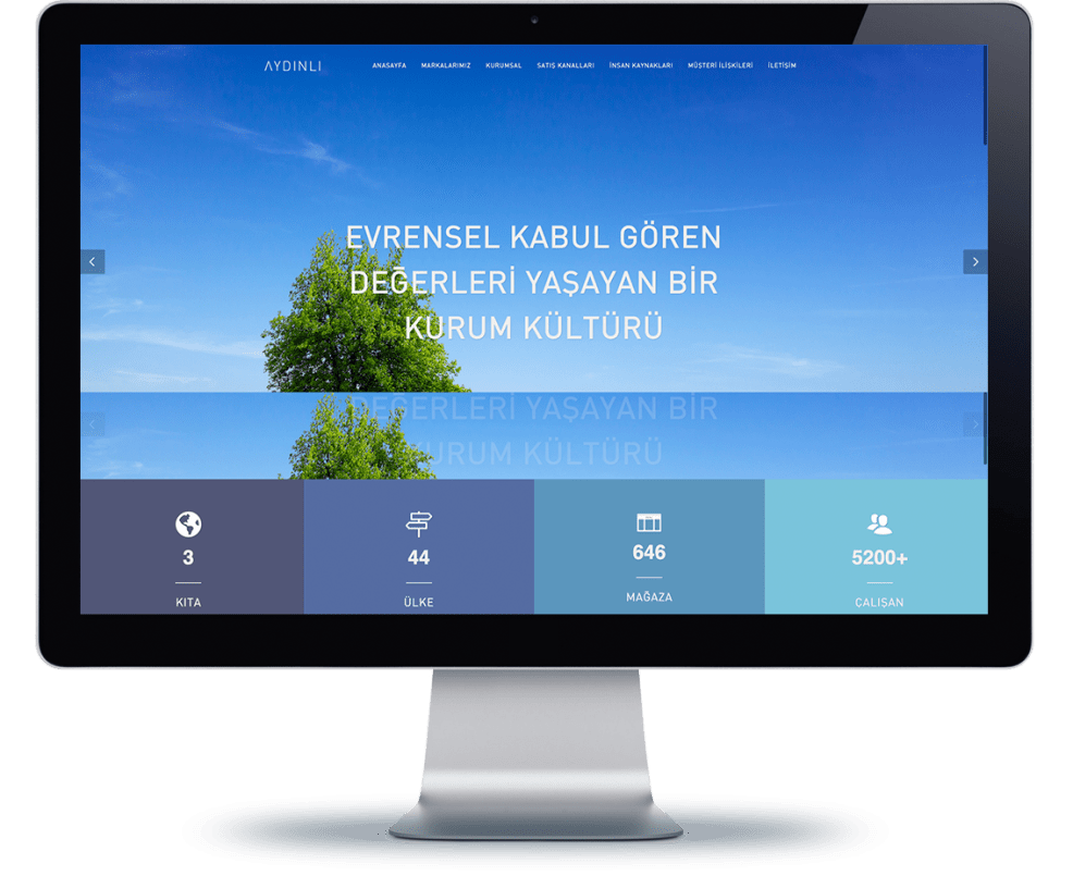 Aydinli website on desktop monitor