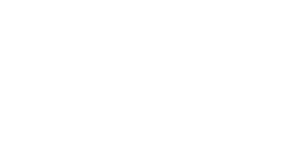 Football Federation Austrailia Logo