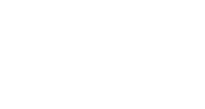 Inetum Logo