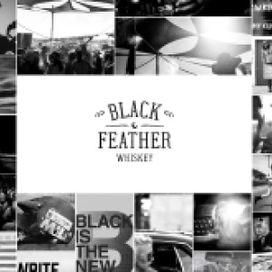 black_feather_tn-_200x165px.png