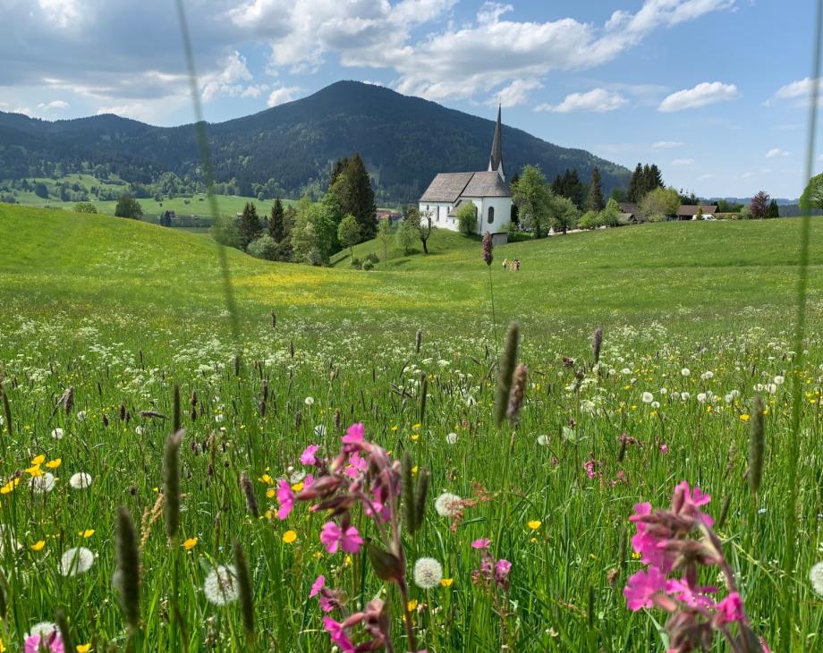 Source: Carina Lentner