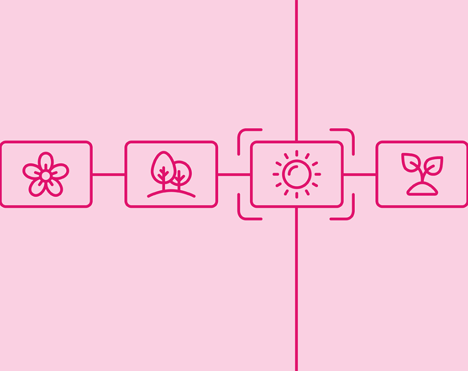 Blog header image: Using Image Recognition Software to Streamline Your DAM Workflows article.