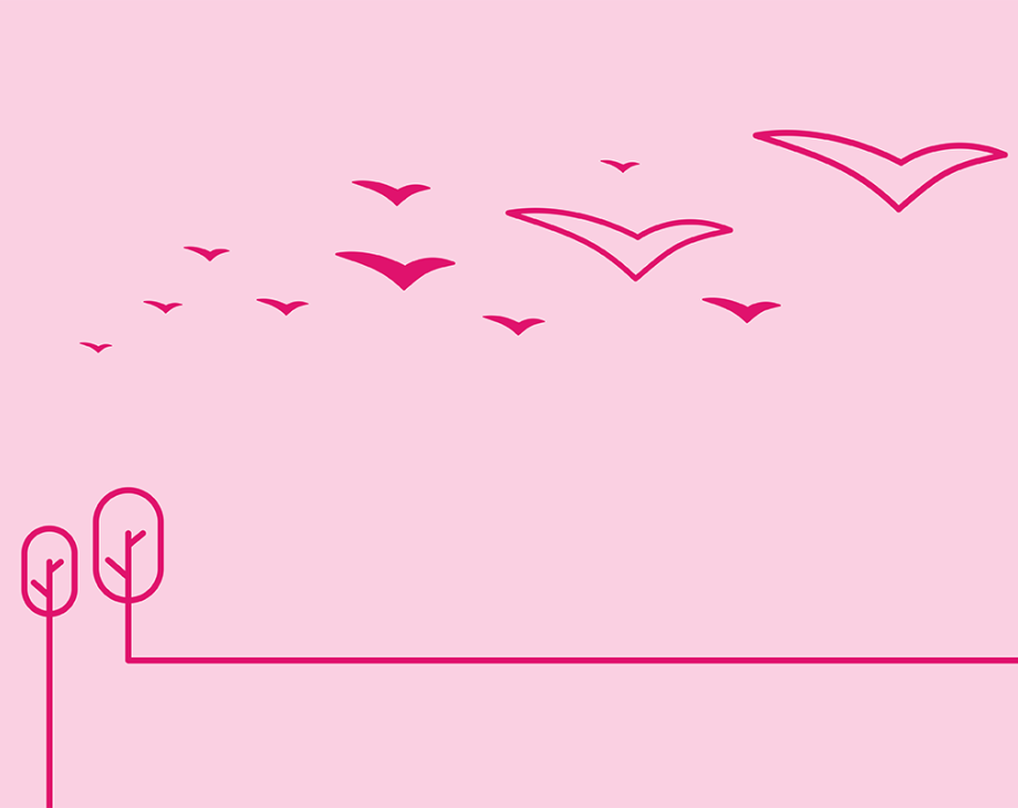 Blog header image: Migrating Content to a New Digital Asset Management System article.