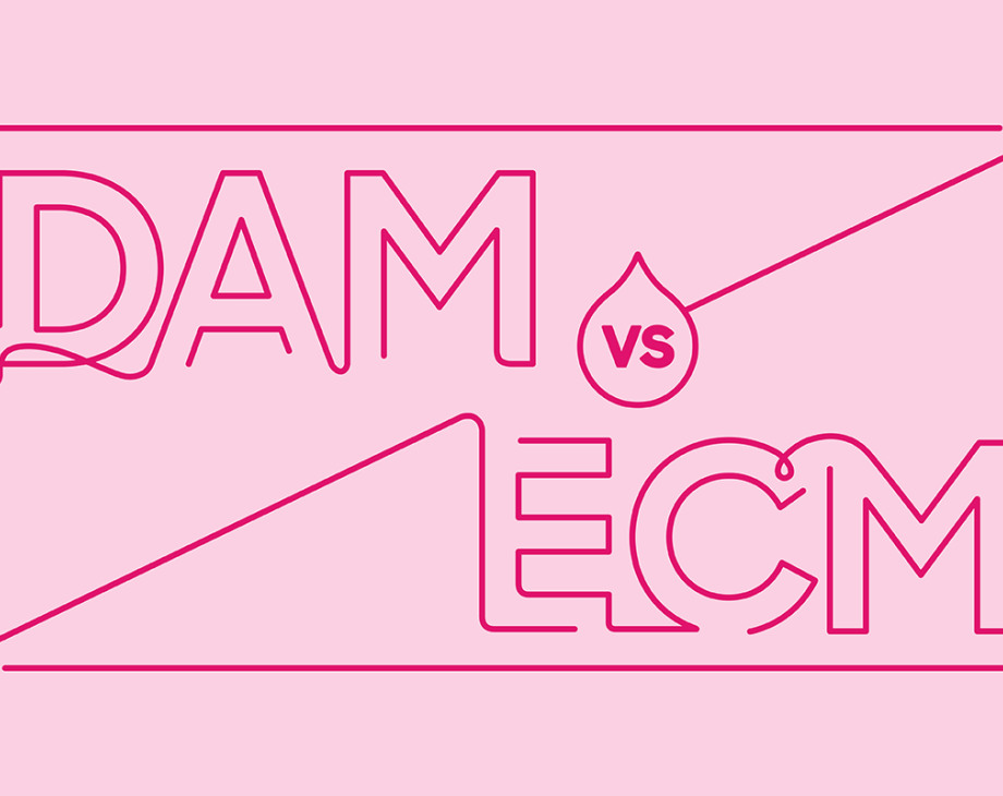 Blog header image: DAM vs. ECM, and Which is Right for You? article.