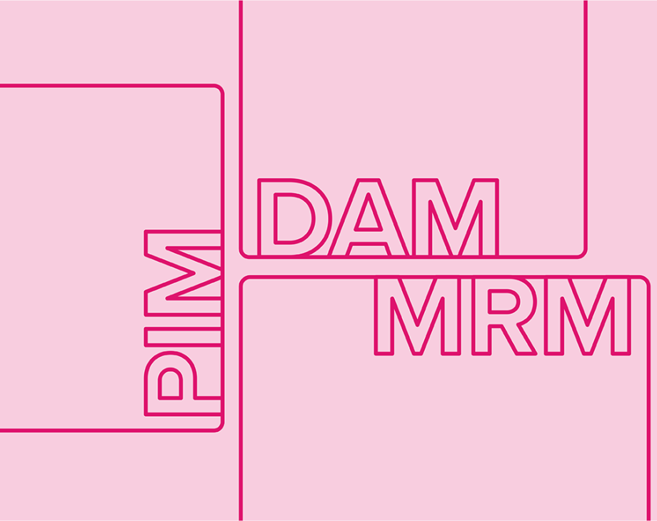 Blog header image: What's the Difference Between DAM, PIM, and MRM systems? article. 
