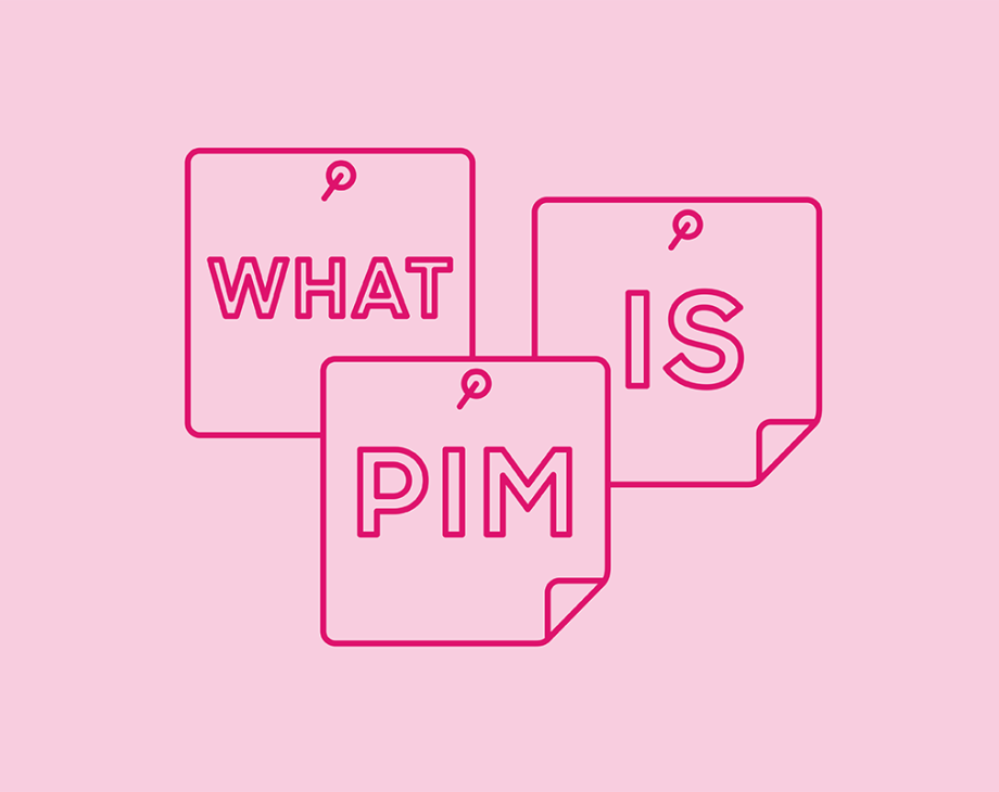 Blog header image: What is PIM? article. 