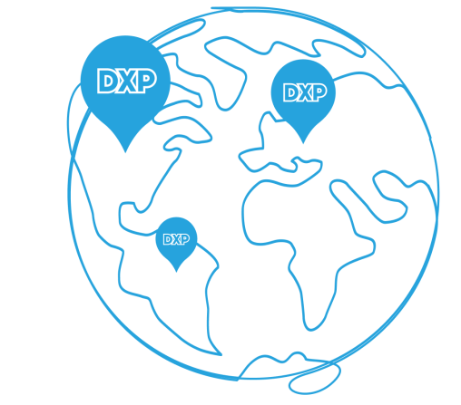 line art of a globe with dxp pins scattered around
