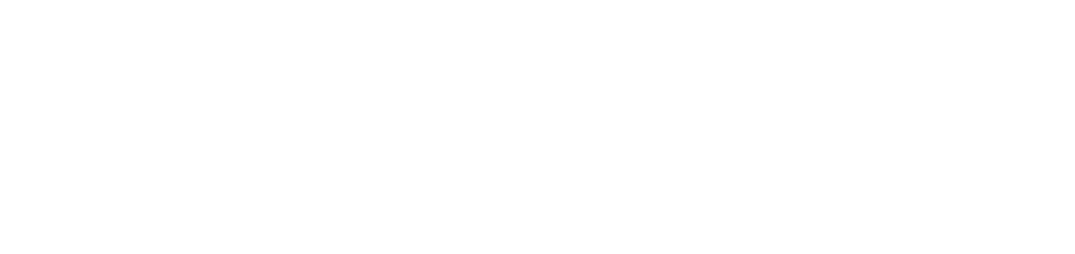 United Nations Development Programme Logo