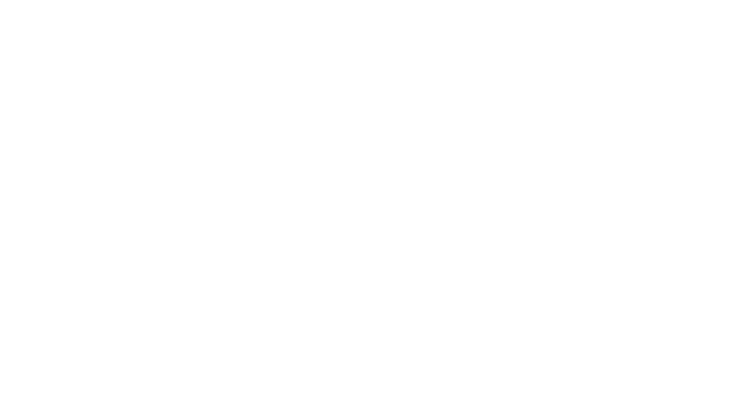 Fannie Mae Logo