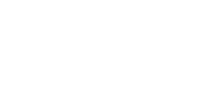Velir Logo