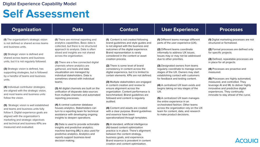Screenshot of self-assessment for the Digital Experience Capability Model