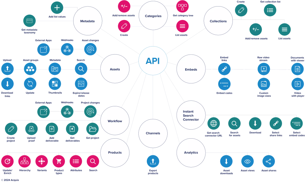 Branched diagram showing how Acquia DAM's API connects assets and data