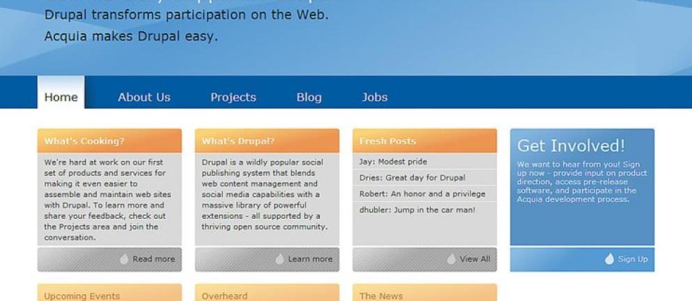 Screenshot of March 2008 version of Acquia.com