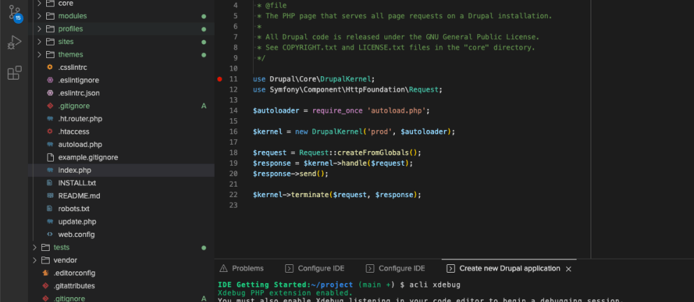 Screenshot of Acquia Cloud IDE debugging screen