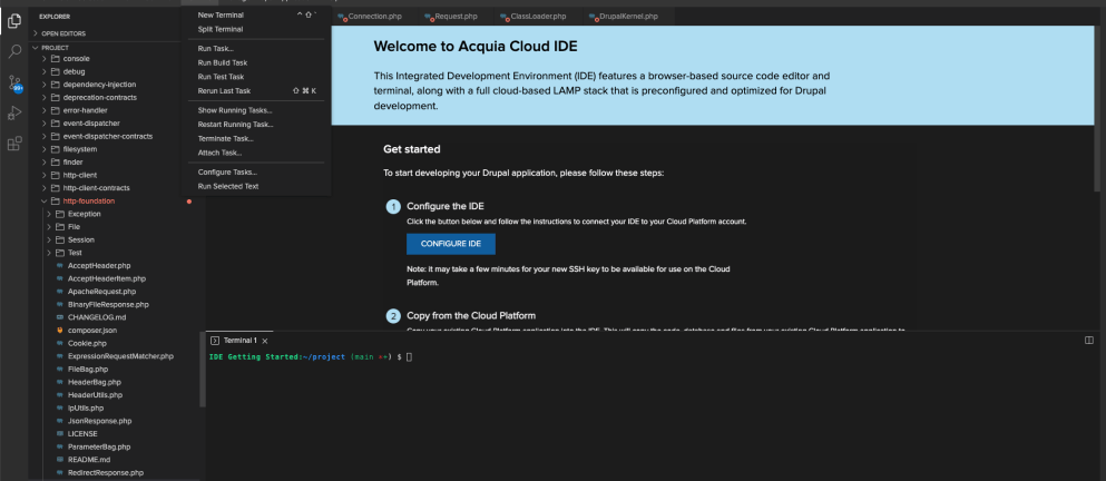 Screenshot of Acquia Cloud IDE terminal screen