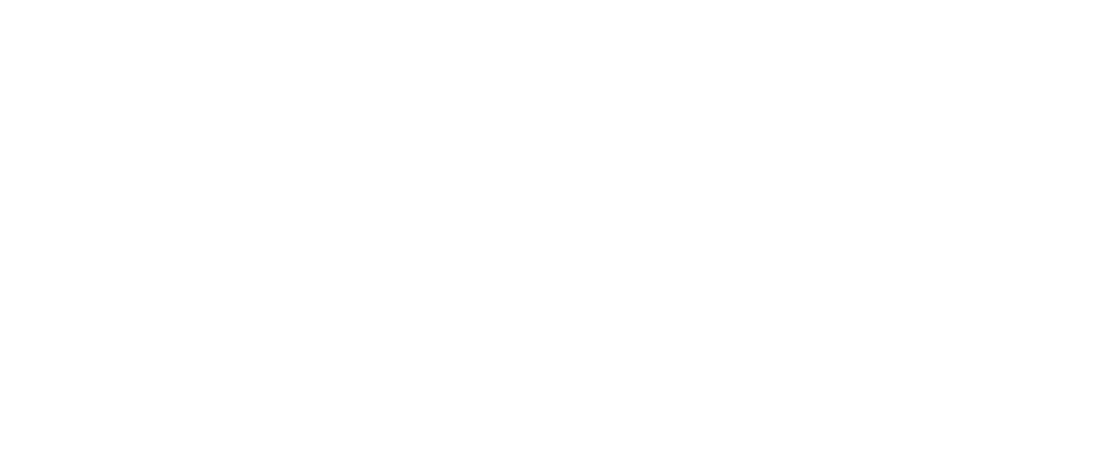 Fannie Mae Logo