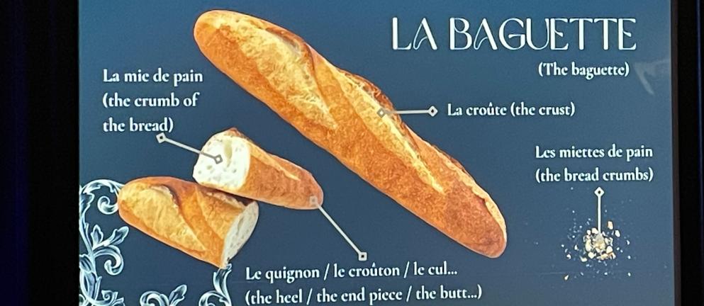 Color photo of media showing the anatomy of a baguette